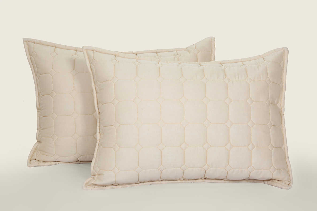 روبالشی گلدوزی طرح دوخت آرسن 5070 دو تکه رنگ کرم کد0080 (1) ملحفه روبالشی گلدوزی قاب دار دو تکه 70*50 بروجرد طرح دوخت آرسن رنگ کرم - Image 1