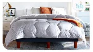 روتختی و پتو